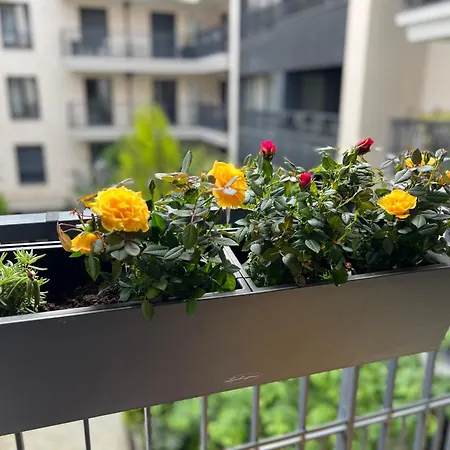 Serenite Totale : Appartement Ensoleille Clichy Exterior photo