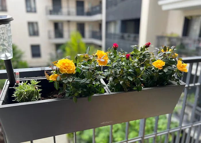 Serenite Totale : Appartement Ensoleille